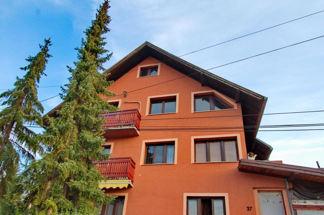 Smestaj Kod Nine I Matije Cajetina  Exterior foto